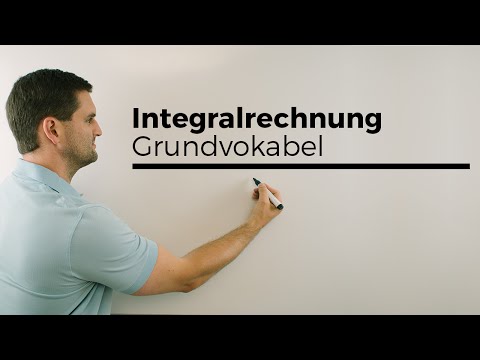 Integralrechnung Grundvokabel, Hauptsatz, Flächenberechnung | Mathe by Daniel Jung