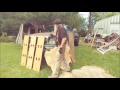 Bring Home The Goods Life At The Dogtrot