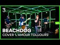 Beachdog covert 'L'amour Toujours' van Gigi D'Agostino | 3FM Live Box | NPO 3FM
