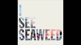 The Drones - Nine Eyes