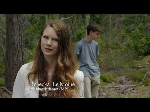 Döderhultarens skog försvinner