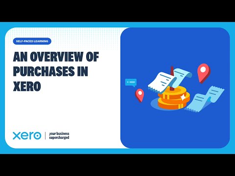 Xero purchases overview: Track bills to pay (accounts payable)