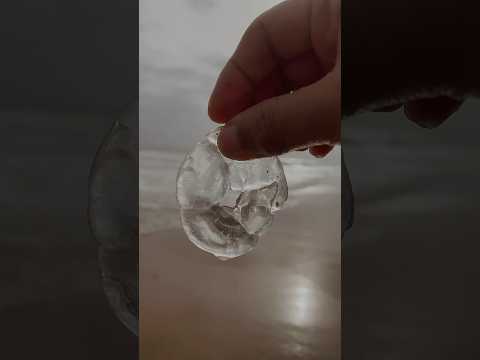 Found so many dead jellyfish on turtle beach Karachi #karachibeach #jellyfish #beachvibes