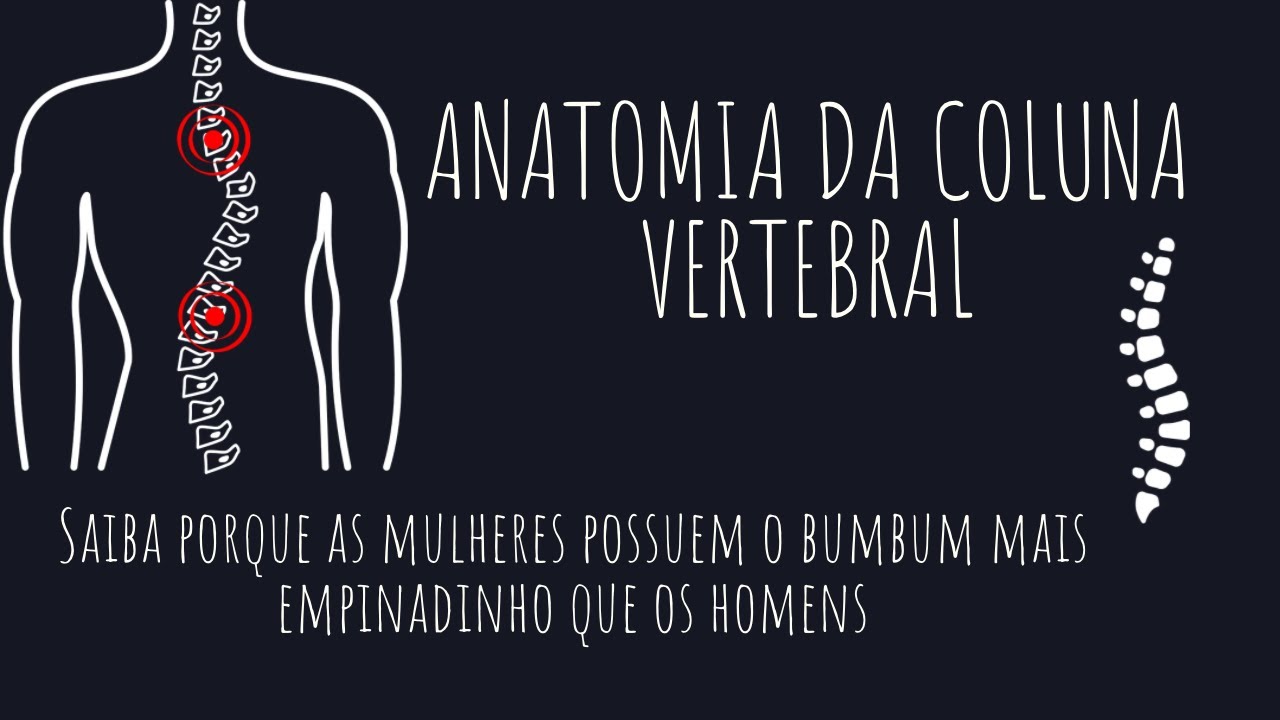 Anatomia da coluna vertebral: diferencie as vértebras de todos os segmentos sem dificuldades!
