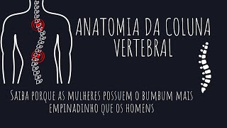 Anatomia da coluna vertebral: diferencie as vértebras de todos os segmentos sem dificuldades!