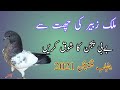 Enjoy Baby Pajan From The Roof Of Malik Zubair
