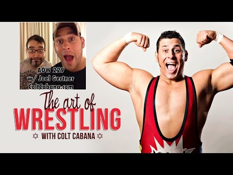 Joel Gertner - Art of Wrestling Ep 229 w/ Colt Cabana