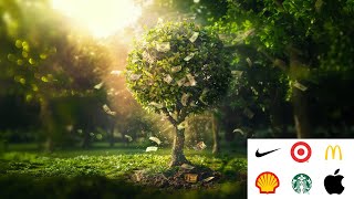 Value Today of $10,000 Invested 20 Years Ago