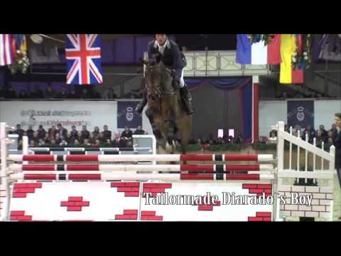 Tailormade Diarado's Boy deutsch 2015