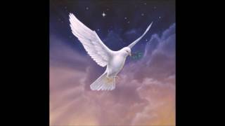 Delene by Damon Bradley