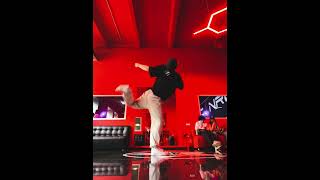 Rema-Soundgasm