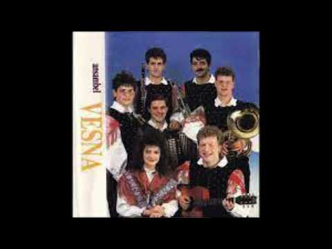 Ansambel Vesna - V parku
