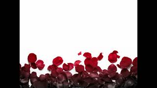 Time Shawty By IshDarr