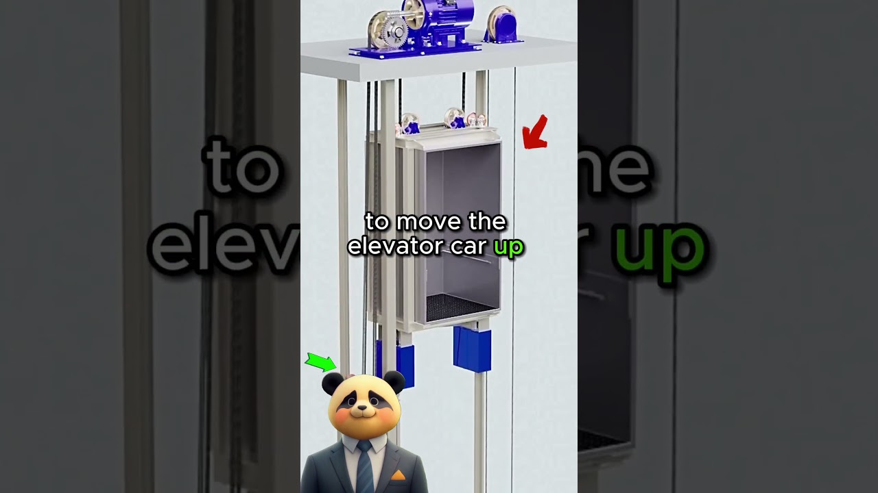 How do Elevators work? 🛗