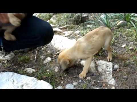 Talia,Tiana,Tate auf Aegina