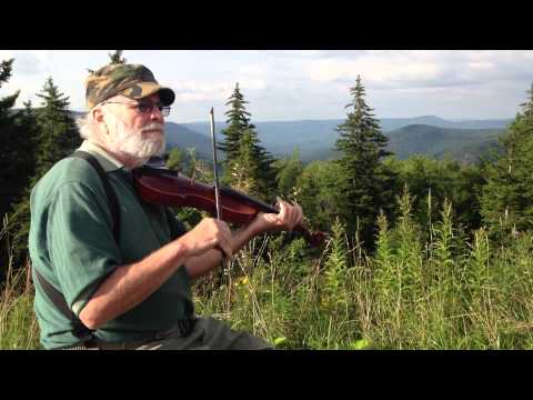 Shakin' Down the Acorns - Dwight Diller, fiddle