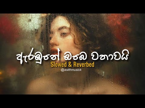 Arabune Obe Wathawai (ඇරඹුනේ ඔබේ වතාවයි) - ( Slowed + Reverb ) | Shehan Perera