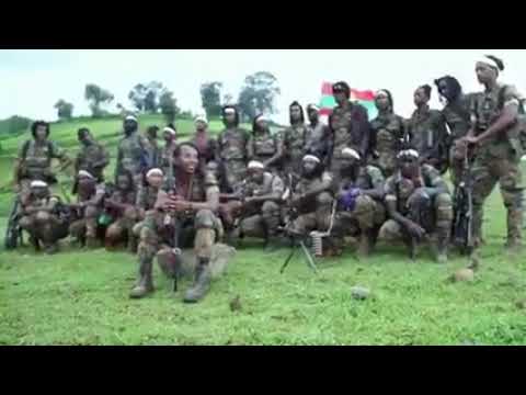 News oromo music jaal moo'i sirba hedduu bareedu daawwadhaa.