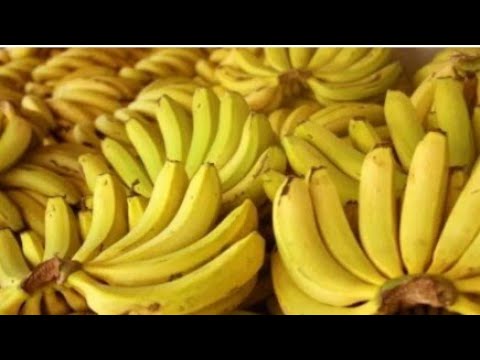 Comedor de Banana no Jô Soares 11:30