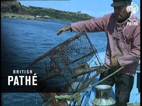 Out Takes / Cuts From Cp 564 - Reel 1 Of 3 - Jersey - The Long 24 Hours (1965)