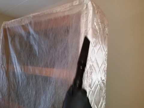 Caught the Bed Bugs Early in Imlaystown, NJ