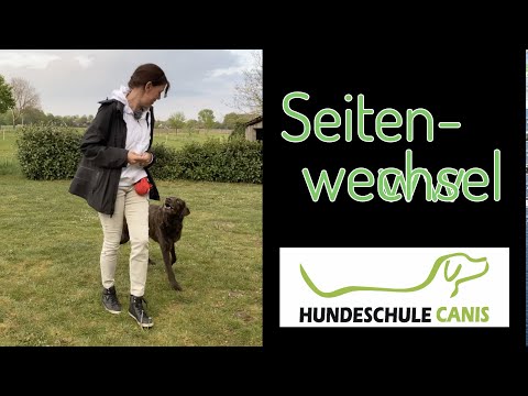 Seitenwechsel mit und ohne Leine - Hundeschule Canis