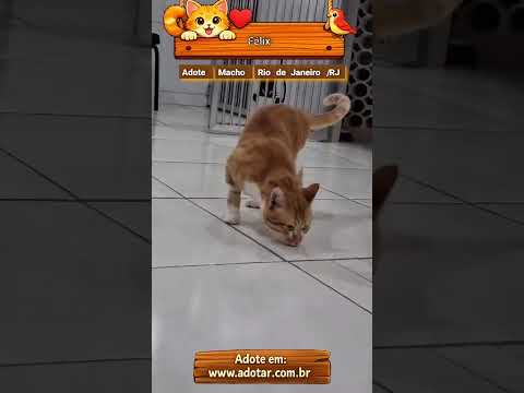 Vídeo de Félix
