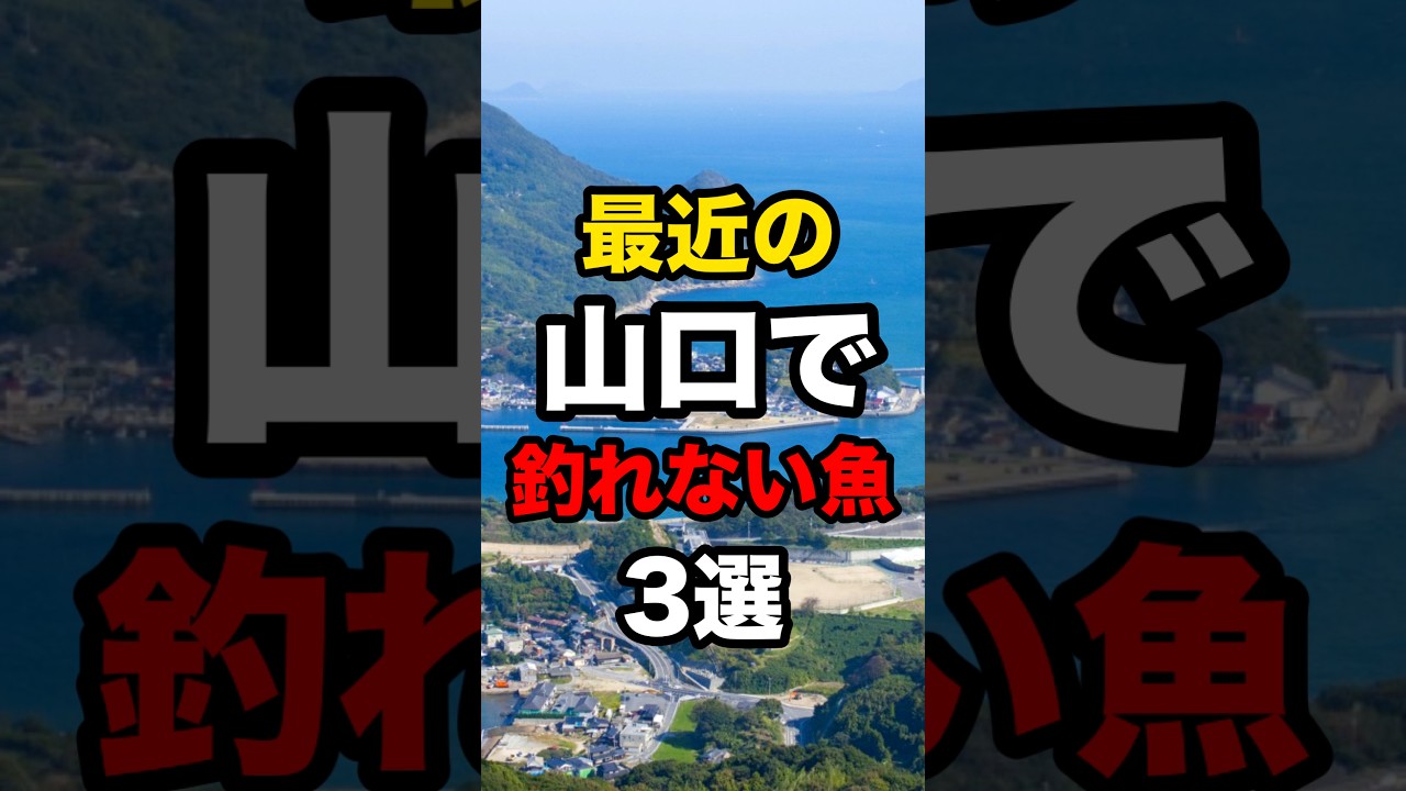 最近の山口で釣れていない魚3選#釣り #shorts