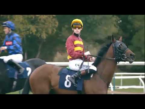 LINGFIELD AT 3PM ON 14 oct 25  Lingfield