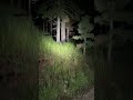 Skin walker turns into deer!#scary #skinwalkerhunt