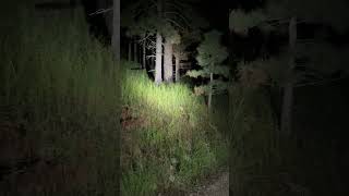 Skin walker turns into deer!#scary #skinwalkerhunt
