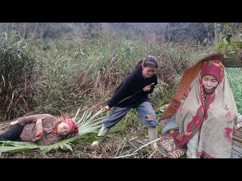 Amidst the fierce storm, Mai and Mrs. Lazy were exhausted when Mai's lover appeared.