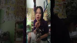Download lagu Jangan coba coba #Short lagu Bang Jhony iskandar #vidio short mbk noer mp3