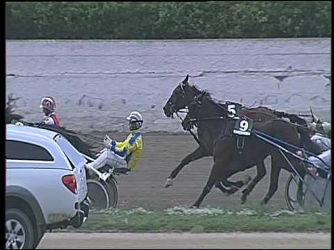 Trotto 11/10/2016 - 1ª corsa