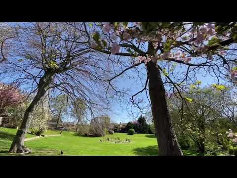 FOR RENT - Spacious One bedroom apartment available at The Henshaw, Woodlands Village -WF1 £525 PCM