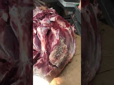 QOSSOB ZADOKNI SUYAKDAN AJIRATISH #moskva