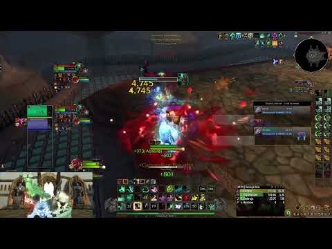 WINDWALKER MONK ONE SHOT MONTAGE!! World of Warcraft Dragonflight Arenas!