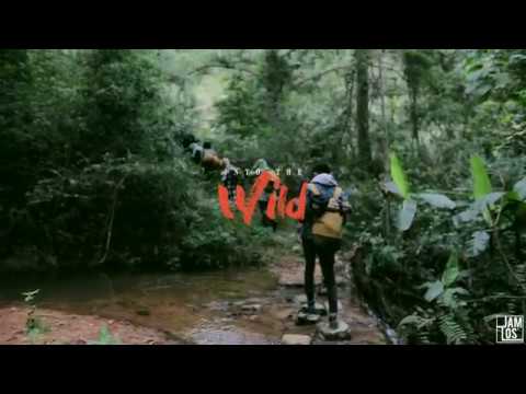 [Teaser] Into The Wild - Jamlos 01.2017