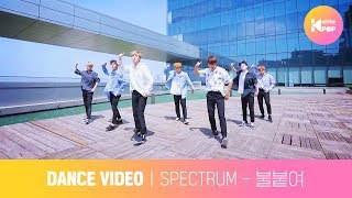 [올더케이댄스] 스펙트럼(SPECTRUM) - 불붙여(Light It Up)