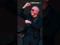 Pitbull recibe Récord Guinness gracias a sus ´Baldies Pitbull recibe Récord Guinness gracias a sus ´Baldies