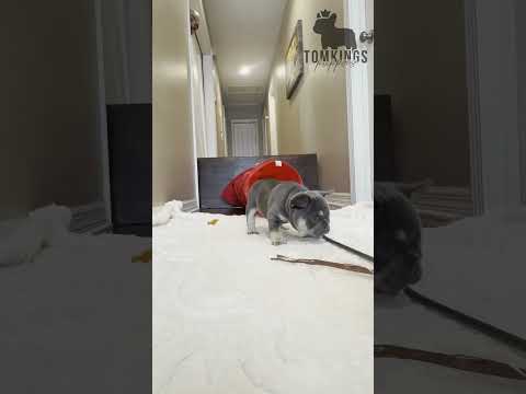 Video 3