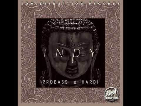 PROBASS ∆ HARDI - Indy