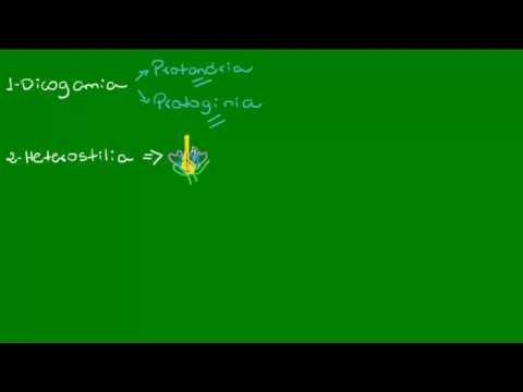 Mecanismos contra a autopolinização - Botânica - Biologia