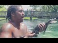 Crowd Cheers As Man Removes Baby Gator From Swimming Area At Florida Park