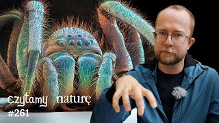 Alcohol, Marijuana, and Pregnancy - The Hairy Spider Robot - The Triumph of War in the Neolithic ...