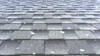 Roof Cleaning- Lichen Removal From Asphalt Shingles