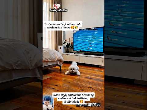Ceritanya Lagi latihan dulu sebelum ikut lomba🥰🤣