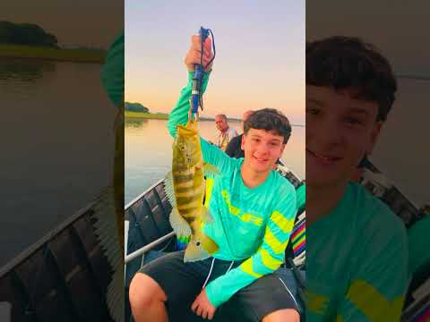 Dia de Pescaria em Mira Estrela - SP #pesca #pescaria #miraestrela #agoraeupego