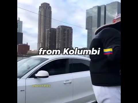 Ilir ppj djal shkodran