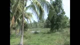 preview picture of video 'kerala real estate'